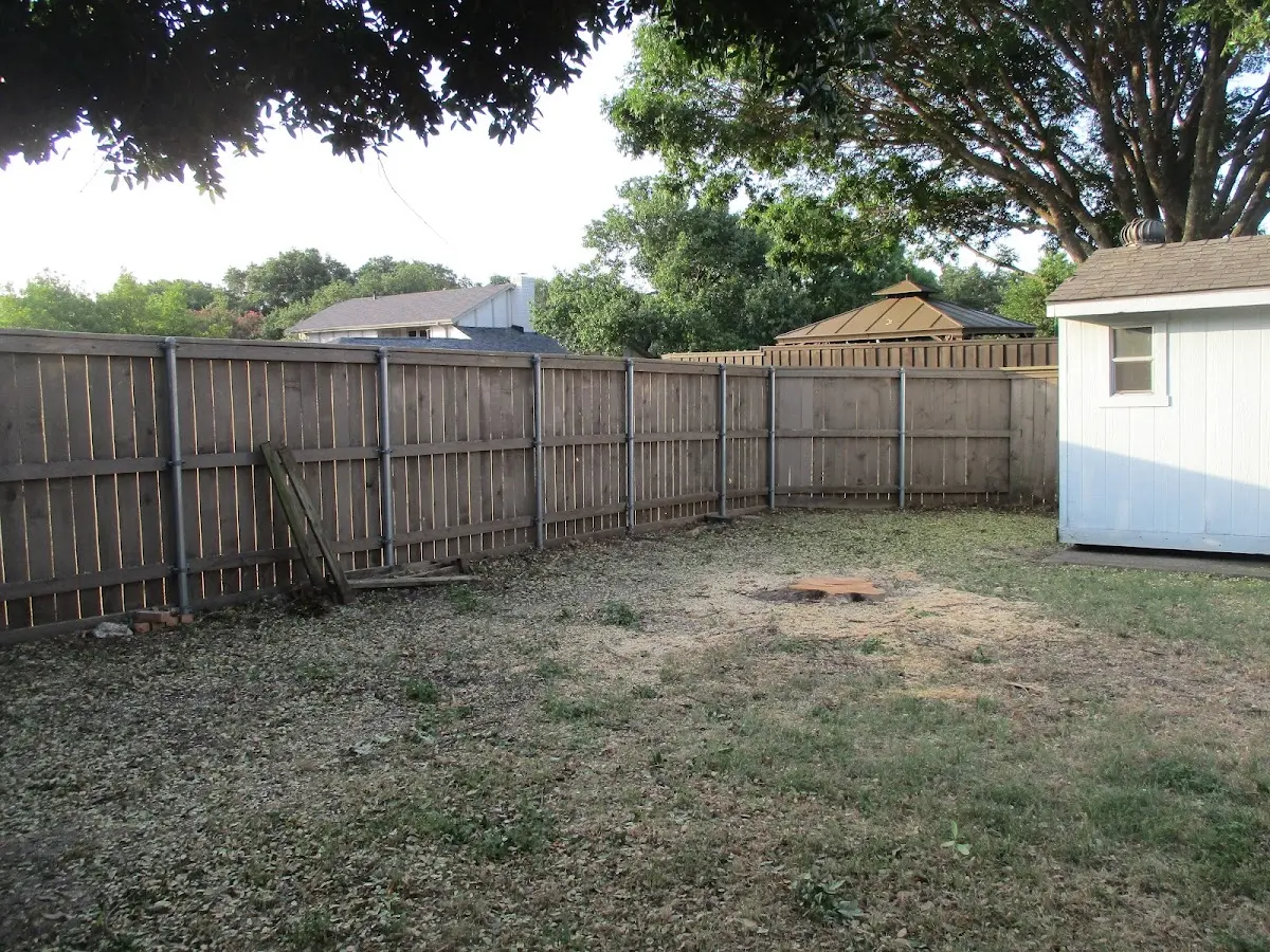 Cleared yard after professional tree removal in Otis Orchards
